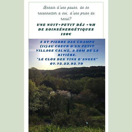 Saint-Pierre-des-Champs Chambre D'Hote Au Jardin Le Clos Des Vins D'Anges المظهر الخارجي الصورة
