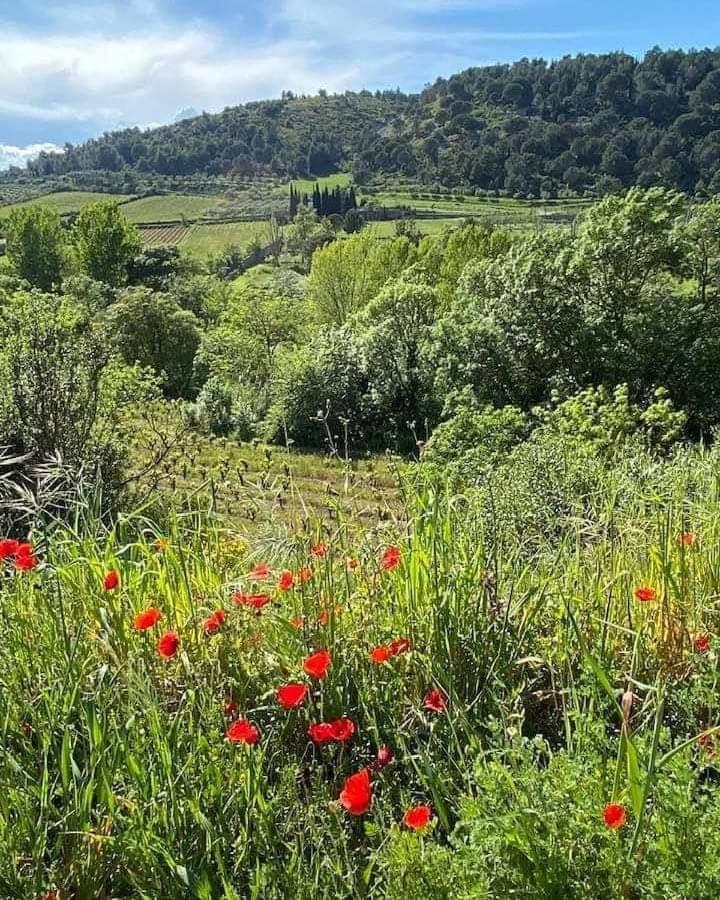 Saint-Pierre-des-Champs Chambre D'Hote Au Jardin Le Clos Des Vins D'Anges المظهر الخارجي الصورة