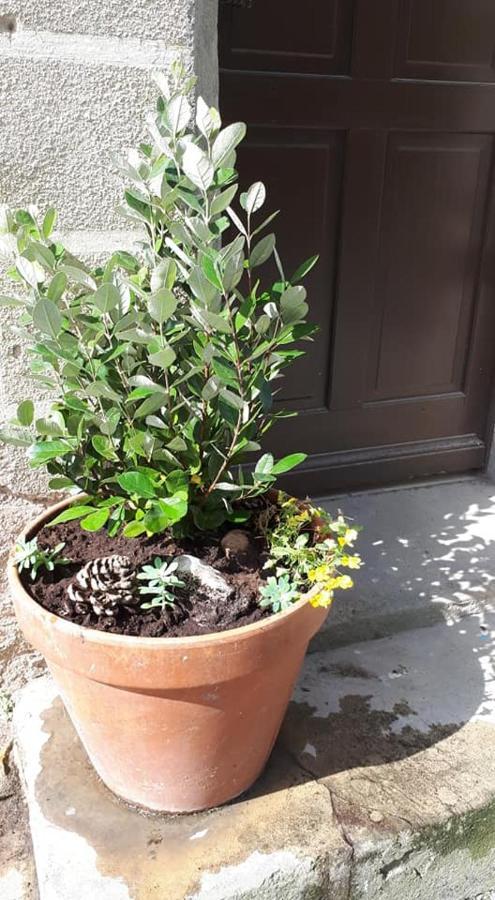 Saint-Pierre-des-Champs Chambre D'Hote Au Jardin Le Clos Des Vins D'Anges المظهر الخارجي الصورة