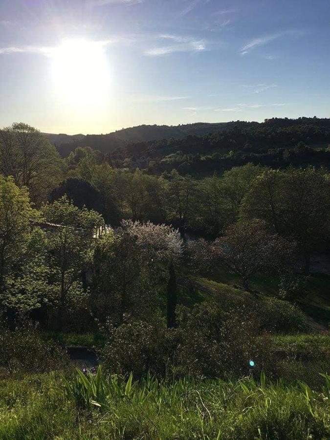 Saint-Pierre-des-Champs Chambre D'Hote Au Jardin Le Clos Des Vins D'Anges المظهر الخارجي الصورة